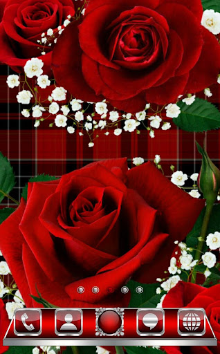 Android application Red Roses Go Launcher Theme screenshort