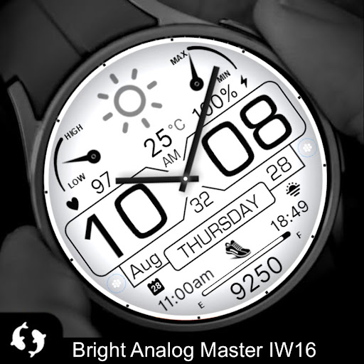 Bright Analog Master IW16 screenshot 3
