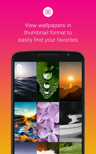 →