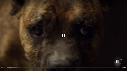 Screenshot of Animal Planet HD (Unofficial)