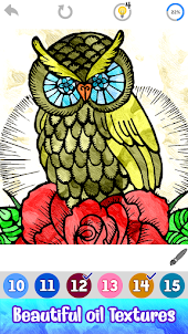 Owl Color by Number Birds Art