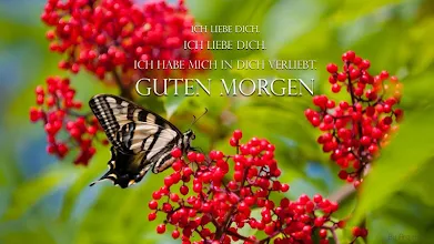 Guten morgen gedichte für verliebte