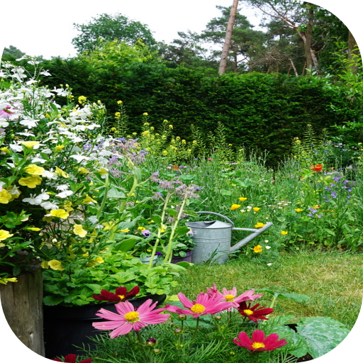 How to Plant Wildflower seeds logo