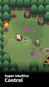 The Way Home: Pixel Roguelike 2.0.11 Mod/Apk(unlimited money)download 2