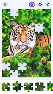 Jigsawgram: Jigsaw Puzzle Game 2