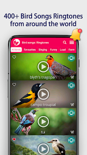 Bird Songs: Ringtones Screenshot