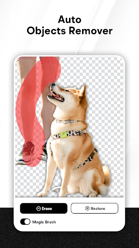 Screenshot of Background Eraser