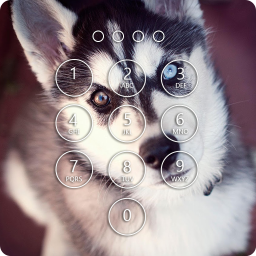 Siberian Husky Lock Screen logo