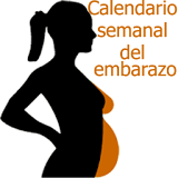 Calendario del embarazo icon