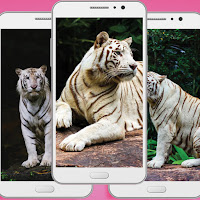White Tiger Wallpaper Apk - Animal Backgrounds