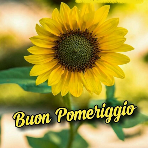 Buon Pomeriggio Immagini - Apps on Google Play