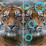 Cover Image of ダウンロード Animal Differences - Find & Spot it 5.0 APK