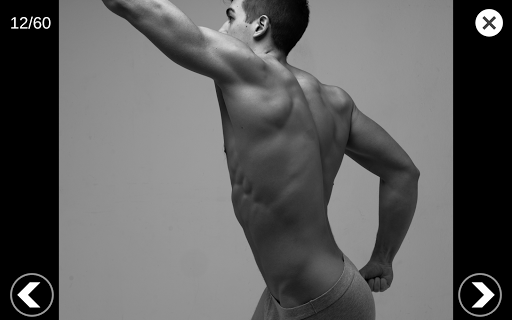 Screenshot of 3D Anatomy for the Artist