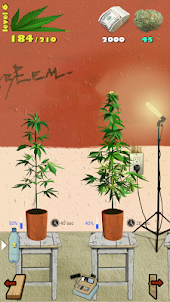 Weed Firm: RePlanted