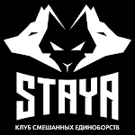 Cover Image of Download STAYA  APK
