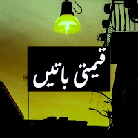 Urdu Qeemti Batain