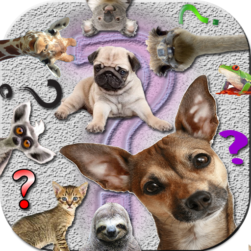 Ask Funny Animals 2023 logo