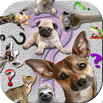 Cover Image of Unduh Ask Funny Animals 2023  APK
