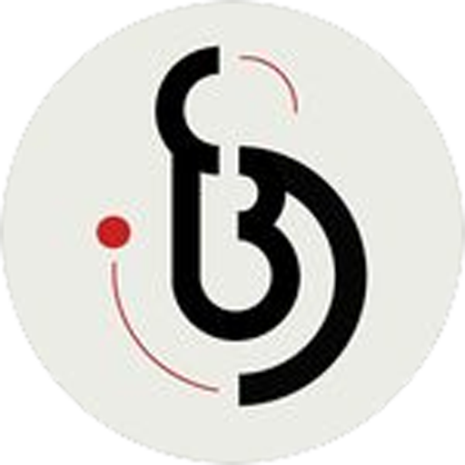 GRUPO BS SEGURANÇA E AUTOMAÇÃO logo