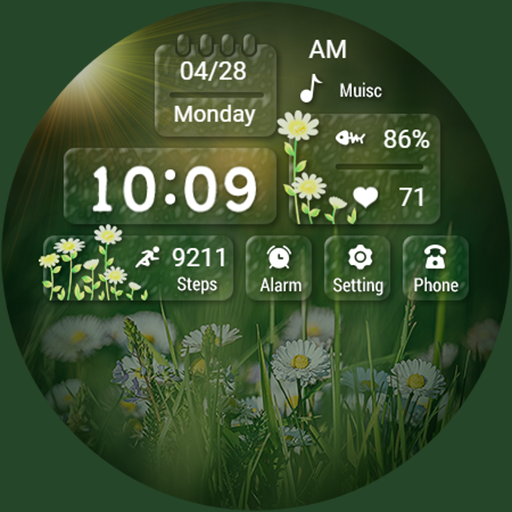 Summer Scene ZKin Watch - AppWisp.com