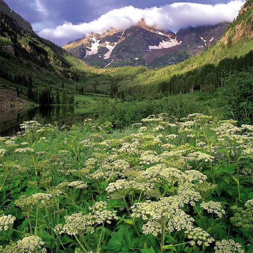Nature Jigsaw Puzzles Screen 3