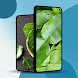Orange Leaf Wallpaper - Androidアプリ