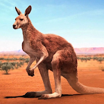 Cover Image of Télécharger The Kangaroo  APK