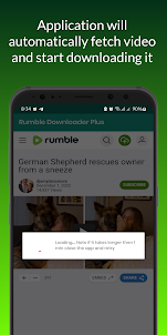 HdRumble Video Downloader