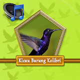 Master Burung Kolibri Ninja icon