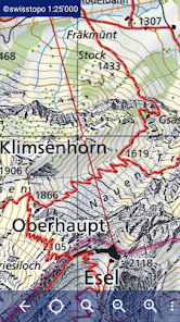 GPS Switzerland
