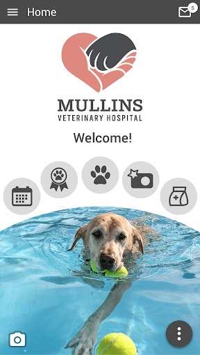 Android application Mullins Veterinary Hospital screenshort