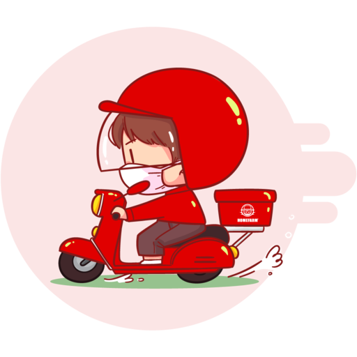 Homefarm Ship logo