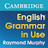 English Grammar in Use1.11.40