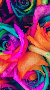 Rainbow Flower Wallpaper HD