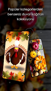 Uygulama önizlemesi