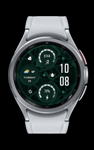 CNRwatch028 screenshot 17