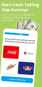 Zap Surveys – Get Paid Cash 1