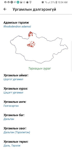 Ургамлын улаан данс Screen 3