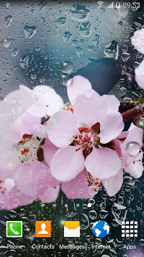 Rainy Flowers Live Wallpaper Screenshot 3 - AppWisp.com