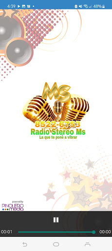 Radio Stereo Ms Screen 3