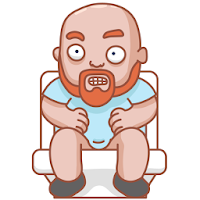 Toilet - time to fly