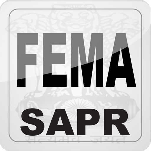 FEMA 2.0 Icon