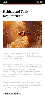 Clownfish Care Guide