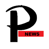 Panna news icon