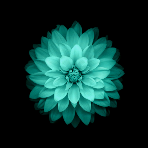 Galaxy Flowers Live Wallpaper 1.9 Icon