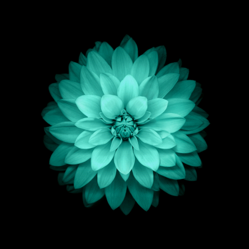 Galaxy Flowers Live Wallpaper  Icon