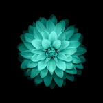 Cover Image of Download Galaxy Flowers Live Wallpaper  APK