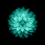 Galaxy Flowers Live Wallpaper icon