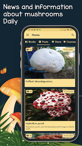 The Mushroom Screen 3