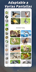 Imágen 7 Animal Mágico: ¡180 Sonidos de android